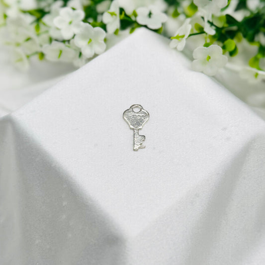 Pure Silver Key TSI04