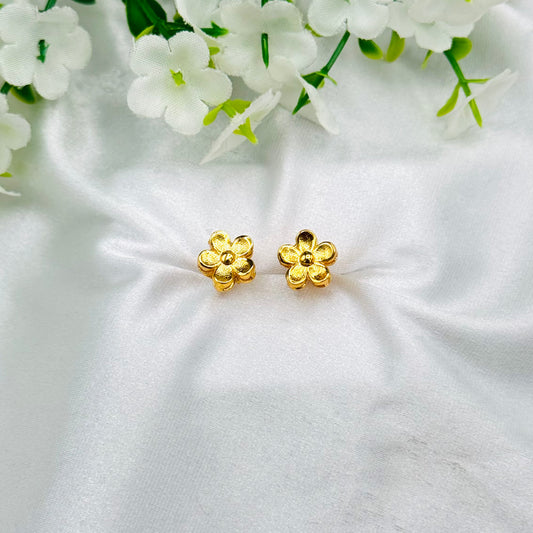 Women Earrings with 22k Gold Plating WGE20